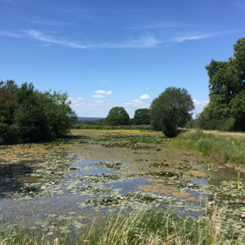 Cara’s Lake