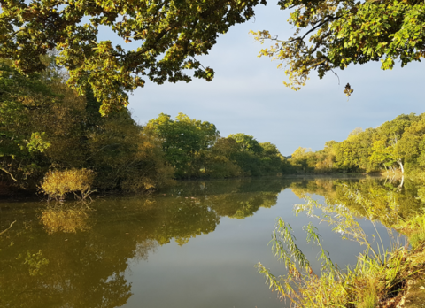 Berkley Lake