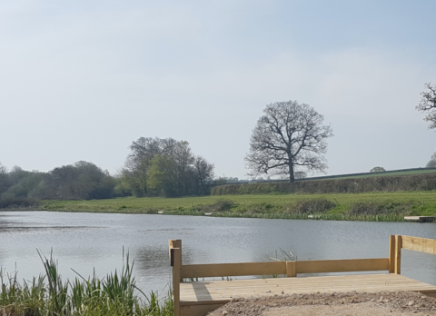 Witham Friary Lakes