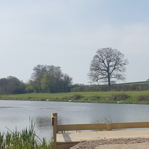 Witham Friary Lakes