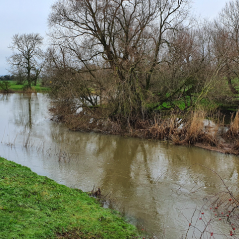 River Stour